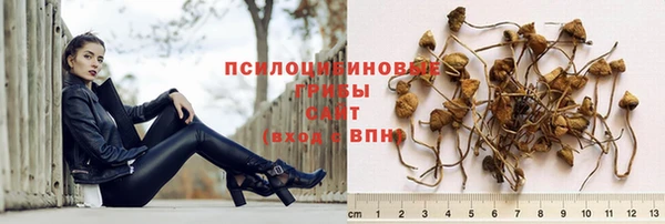 индика Абдулино