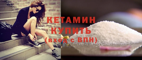 шишки Абаза