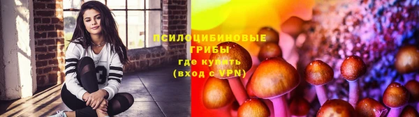 спиды Алексин