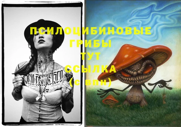 индика Абдулино
