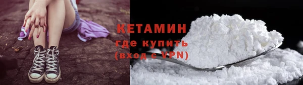 шишки Абаза