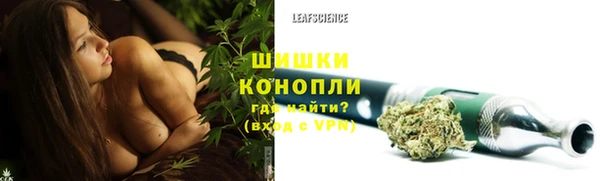 шишки Абаза