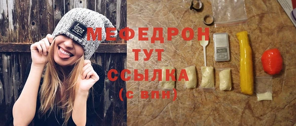 шишки Абаза