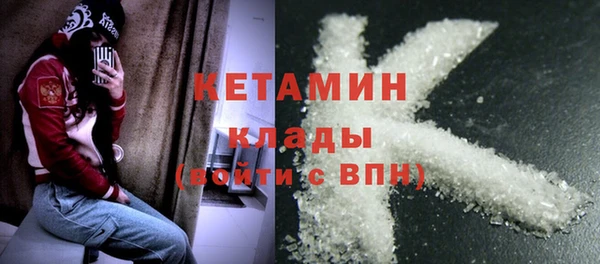 шишки Абаза