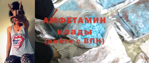 шишки Абаза