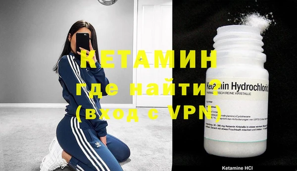 шишки Абаза