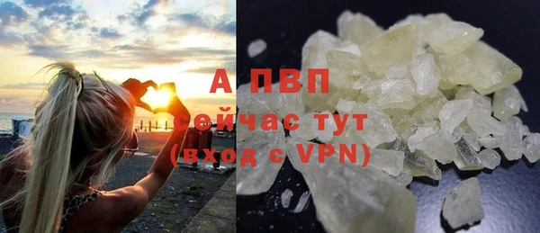 шишки Абаза