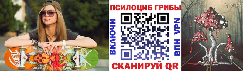 Псилоцибиновые грибы Psilocybine cubensis  наркота  Кадников 